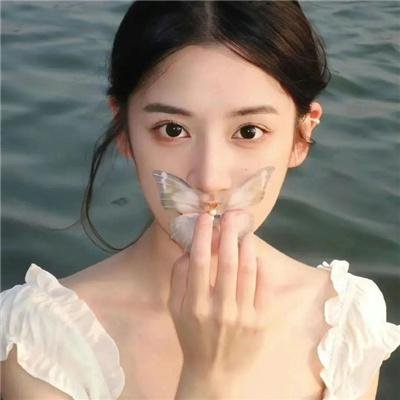 洪拳大师
